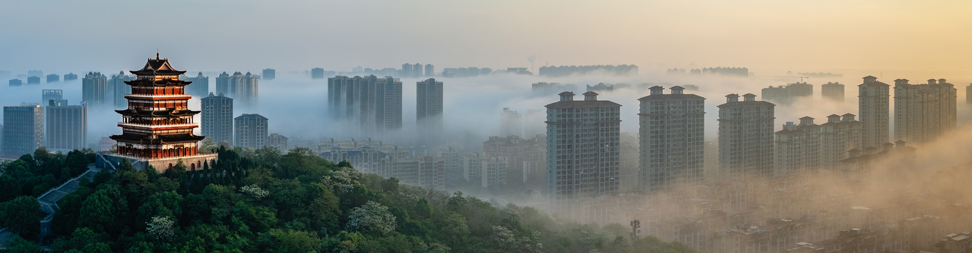 景区动态